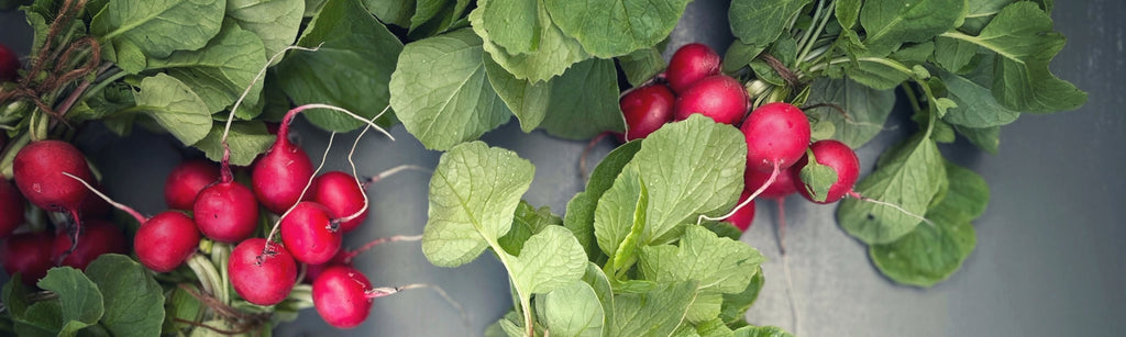 Harnessing Autumn’s abundance & shifting into nourishing and wholesome routines after the summer | Lucie Simons